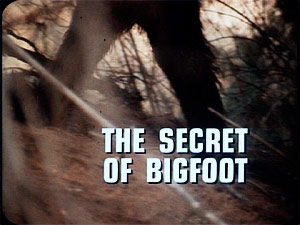THE SIX MILLION DOLLAR MAN 
''The Secret Of Bigfoot'' I