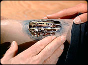 ''The Deadly Missiles'' 
Inge's hand (top) on Bionic leg