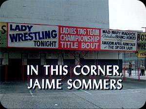 ''In This Corner, Jaime Sommers''