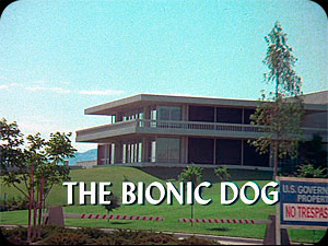 ''The Bionic Dog'' I